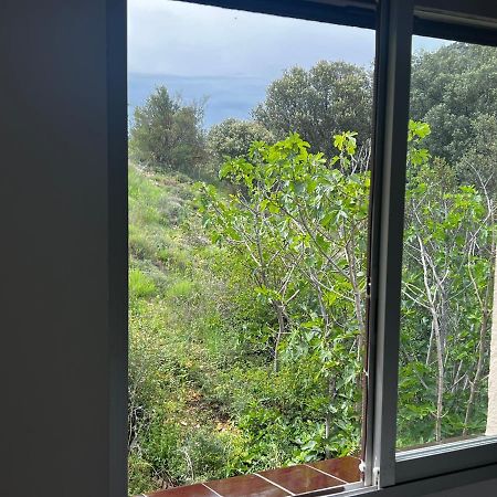 Apartaments La Pertusa 2O Corca  外观 照片
