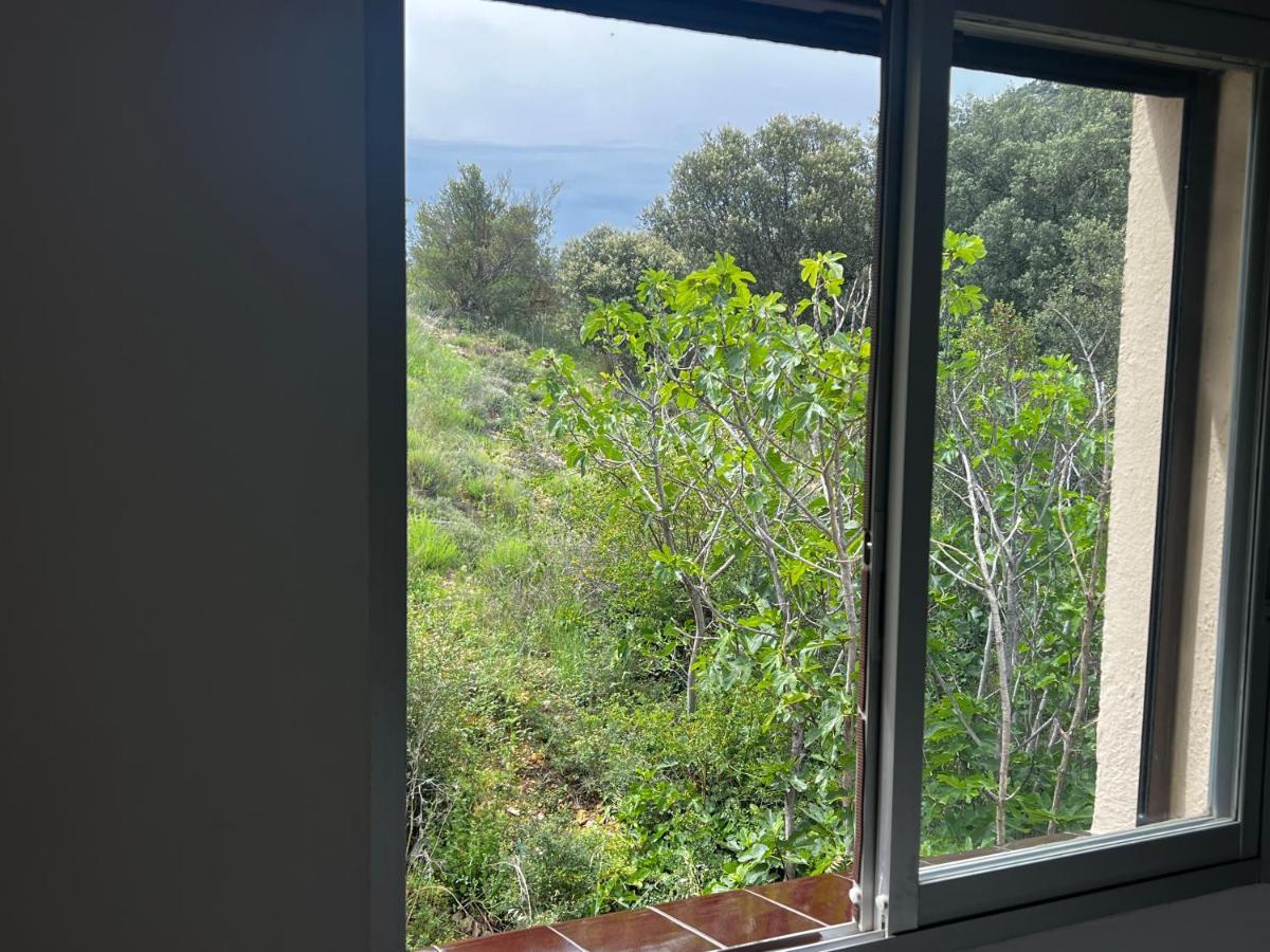 Apartaments La Pertusa 2O Corca  外观 照片